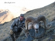 Trophy High Altai Argali Sheep Hunting in Mongolia