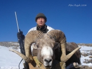 Trophy High Altai Argali Sheep Hunting in Mongolia