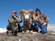 Trophy High Altai Argali Sheep Hunting in Mongolia