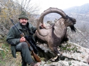 bezoar ibex hunting in iran