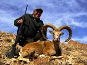 laristan mouflon hunting in iran