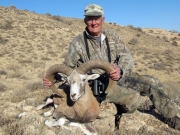 red sheep hunting in iran