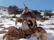 transcaspian urial hunting in iran high altitude