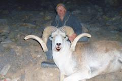 Marco Polo Sheep and Ibex - Tajikistan