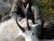 Southeast Alaska Mountain Goat Boat Hunt