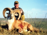 Trophy Transcaspian Urial Hunting in Asia