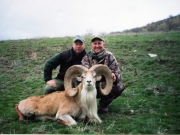 Trophy Transcaspian Urial Hunting in Asia