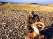 Trophy Transcaspian Urial Hunting in Asia
