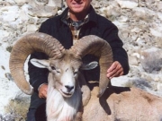 Trophy Transcaspian Urial Hunting in Asia