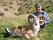 Trophy Transcaspian Urial Hunting in Asia