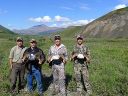 Koryak Snow Sheep Horns in Russia