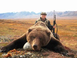 Alaskan Trophy Brown Bear after hunting in 2014