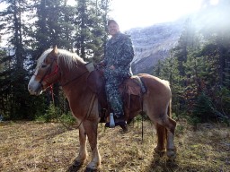 Hunting bighorn sheep on horseback in Alberta, Canada