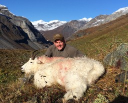 Trophy Mountain Goat Hunt in Alaska