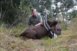 Sable Hunting on Safari in Mozambique Africa